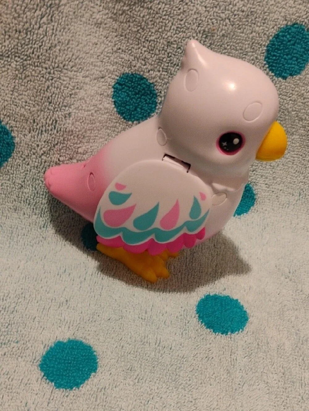Polly - Pets Alive - Bird Only